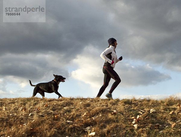 folgen  Hund  joggen  Läufer  vorwärts
