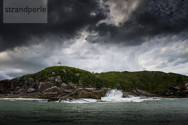 Insel  Brasilien  Florianopolis  Santa Catarina