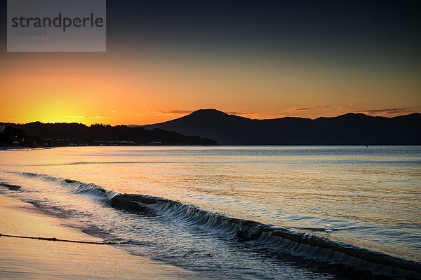 Strand  Entdeckung  Brasilien  Florianopolis  Santa Catarina