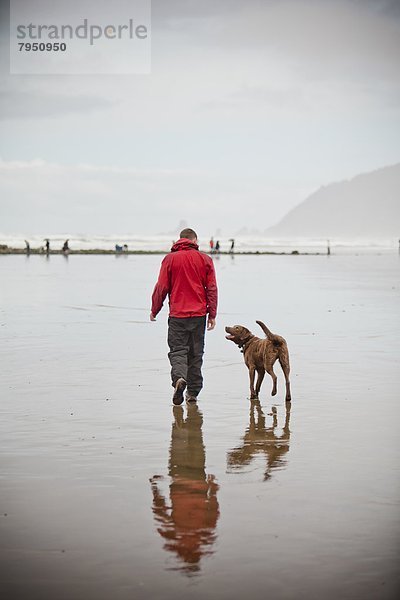 Mann  gehen  Strand  Hund