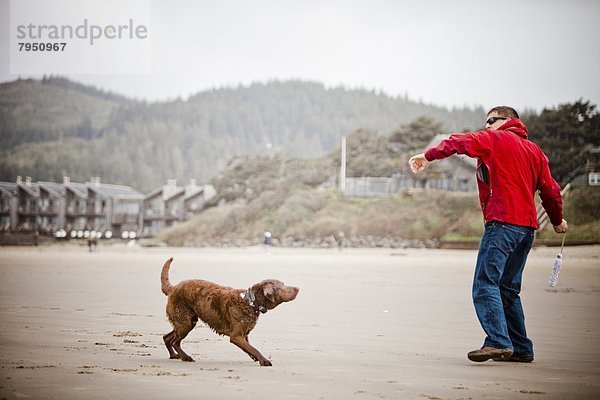 Mann  werfen  kauen  Strand  Spielzeug  Hund