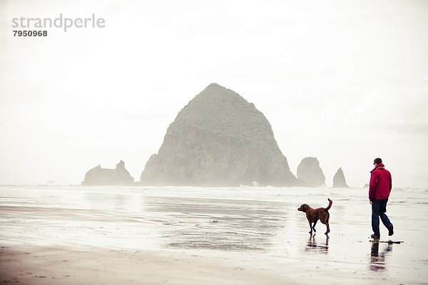 nahe  Felsbrocken  Mann  gehen  Strand  Hund  groß  großes  großer  große  großen  vorwärts