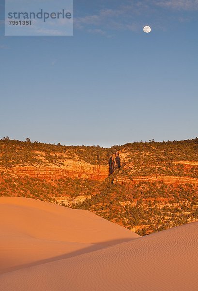 Sonnenuntergang  Beleuchtung  Licht  über  aufwärts  Sand  Mond  pink  Düne  voll  Utah