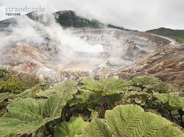 durchsichtig  transparent  transparente  transparentes  Tag  verstecken  Wolke  Vulkan  bizarr  Regen  Costa Rica  Ende
