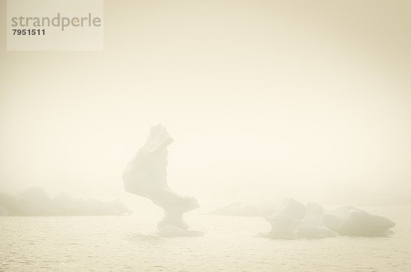 See  Nebel  Eisberg  Tatshenshini-Alsek Provincial Park  Glacier-Bay-Nationalpark  Alaska