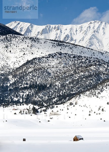 Winter  Frische  Schnee  Hintergrund  Nevada  Kabine  Kalifornien