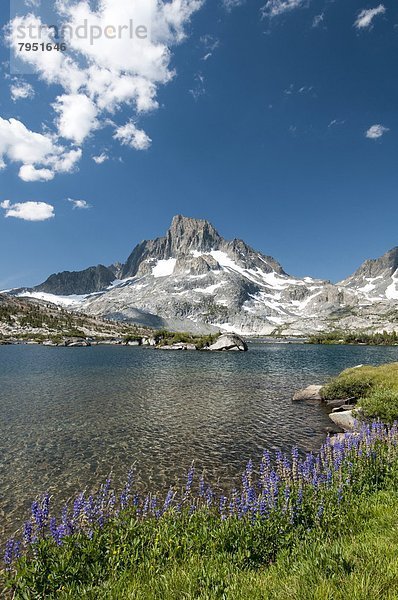 Blume  See  Insel  Reklameschild  unterhalb  Kalifornien