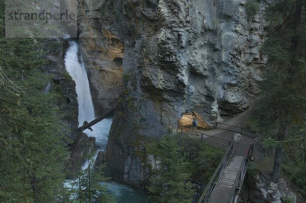 Mann  wandern  Banff Nationalpark  Alberta  Banff  Kanada  Schlucht  Lower Falls