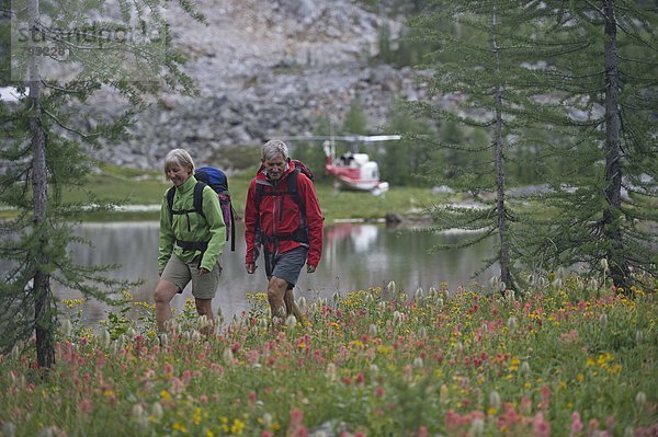 Feld  wandern  Wildblume