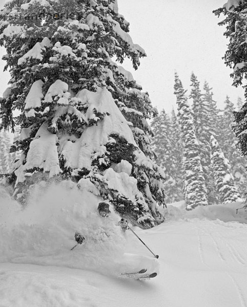 Geschwindigkeit  Skifahrer  gehen  Gesichtspuder  unbewohnte  entlegene Gegend  Kanada  tief