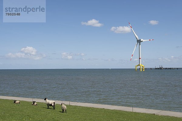 Windturbine Windrad Windräder Ecke Ecken Meer groß großes großer große großen