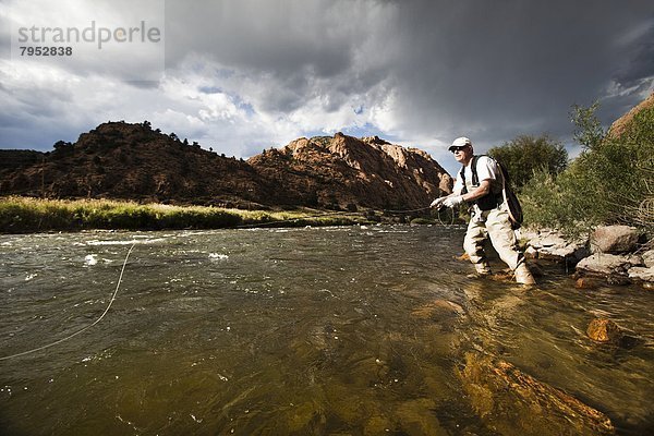 Mann  Fluss  angeln  Arkansas  Colorado