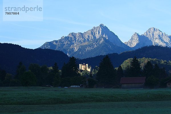 Schloss Hohenschwangau und Ammergebirge  Allgäu  Bayern  Deutschland  Europa