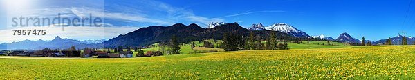 Allgäuer Alpen  Allgäu  Bayern  Deutschland  Europa