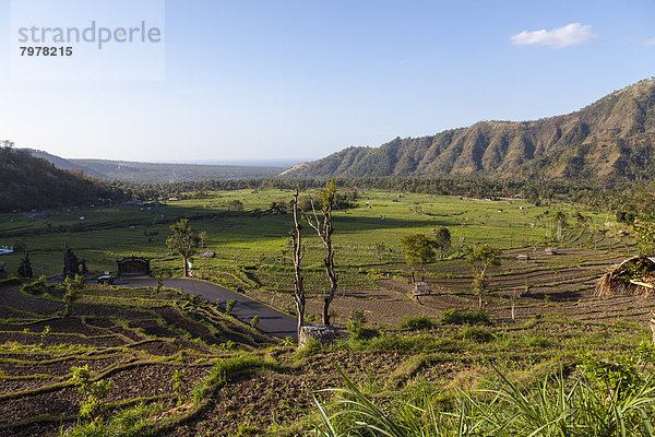 Indonesien  Blick auf Reisfelder am Berg Abang