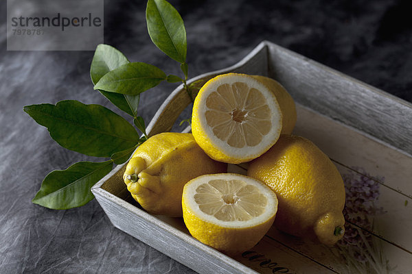 Lemons with citrus leaves on tray  close up