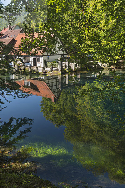 Deutschland  Baden-Württemberg  Blautopfquelle mit Fachwerkhaus im Hintergrund