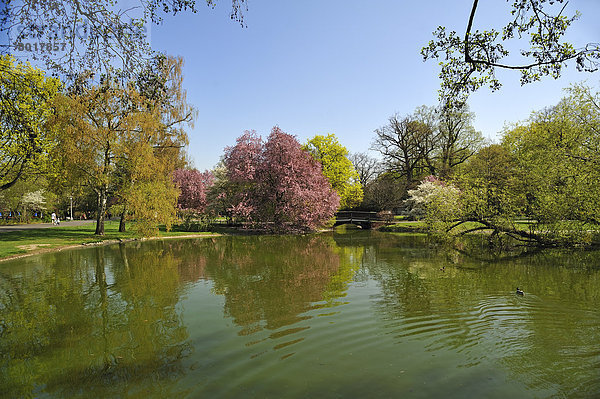 Teich und blühende Bäume im Stadtpark Nürnberg
