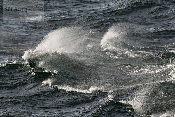 Wellen mit Gischt auf hoher See