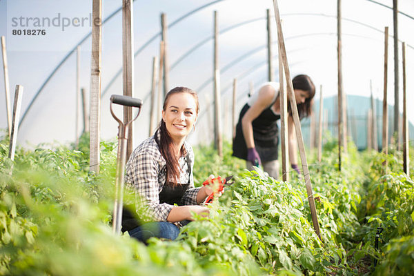Junge Frau arbeitet auf dem Gemüsehof