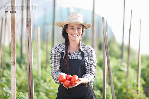 Frau hält Tomaten  die auf dem Bauernhof angebaut werden.