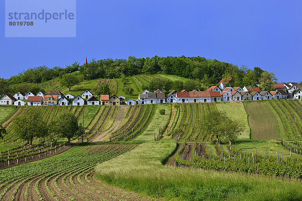 Felder und Weingärten vor der Kellergasse am Galgenberg