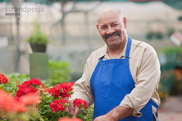 Reifer Mann mit Blumen im Gartencenter  lächelnd