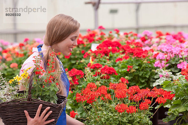 Mittlere erwachsene Frau mit Blumen im Gartencenter