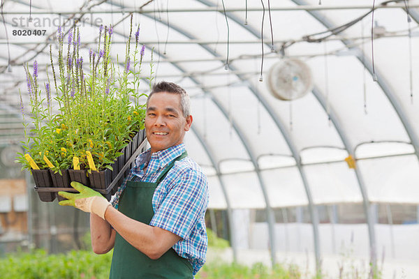 Alter Mann mit Pflanzen im Gartencenter  Portrait