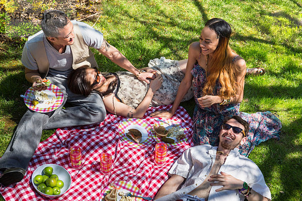 Vier Freunde beim Picknick auf der Decke