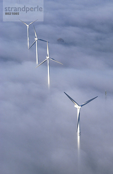Luftbild  Windkraftanlagen ragen aus dem Nebel
