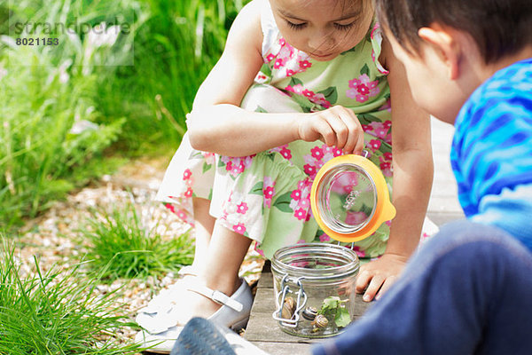 Mädchen und Junge im Garten beobachten Schneckenglas