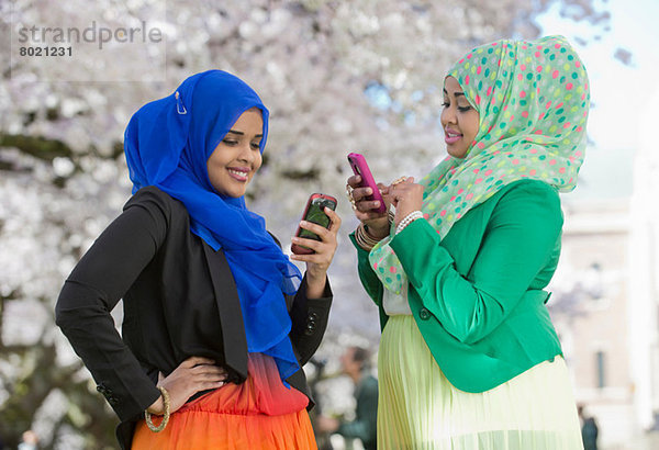 Zwei junge Frauen im Park beim Blick auf ihr Handy