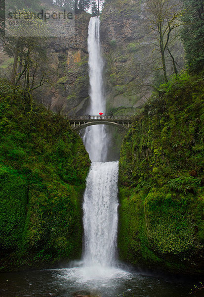 Fußgängerbrücke und Doppelkaskade an den Multnomah Falls  Columbia River Gorge  USA