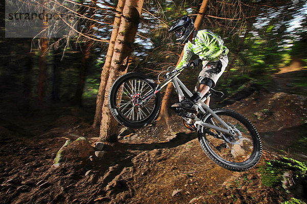 Mountainbiker in der Luft über dem Waldweg