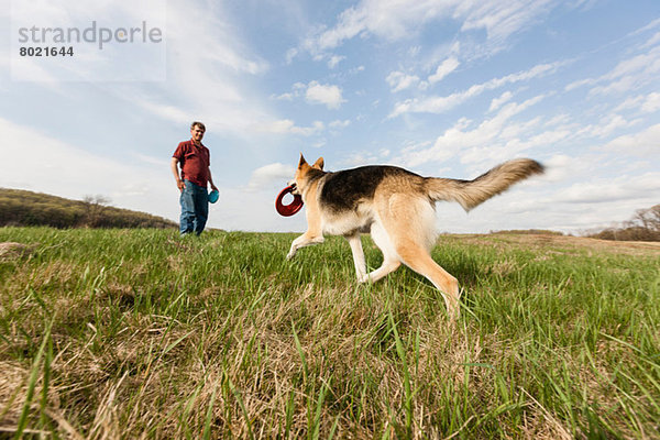 Mann trainiert Elsässer Hund mit Frisbee