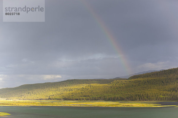 Dunkle Wolken und ein Regenbogen stehen über dem Marsh Lake  Quellgebiet des Yukon Rivers