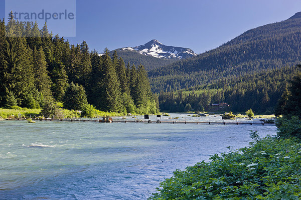 nahe  Landschaftlich schön  landschaftlich reizvoll  Sommer  Fluss  Ansicht  Chilkoot Range  Lutak  Alaska