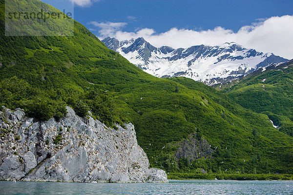 Sommer  Prince William Sound