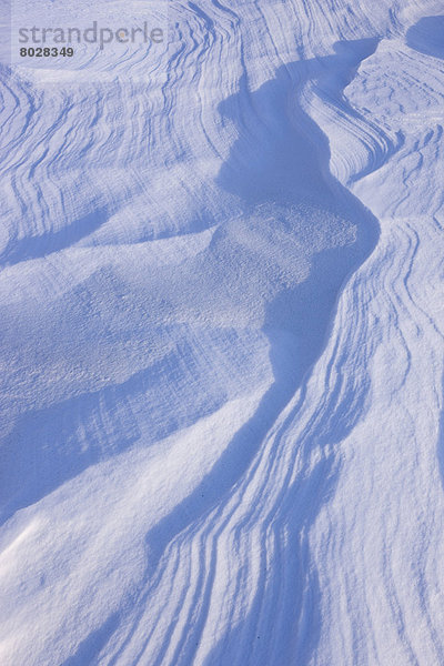 Detail Details Ausschnitt Ausschnitte Winter Fluss Ansicht vorwärts Süden Alaska Schnee