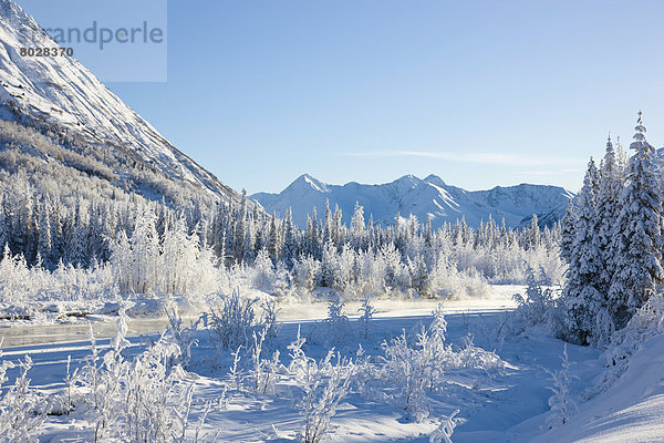 Winter  Osten  bedecken  Landschaft  Wald  Bach  vorwärts  Gabel  6  Kenai-Fjords-Nationalpark  Halbinsel  Schnee