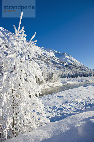 Winter  Osten  bedecken  Landschaft  Wald  Bach  vorwärts  Gabel  6  Kenai-Fjords-Nationalpark  Halbinsel  Schnee