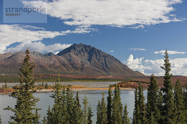 nahe  Landschaftlich schön  landschaftlich reizvoll  Fluss  Herbst  Bundesstraße  Ansicht  Denali Nationalpark  Susitna Flats State Game Refuge