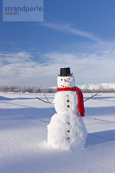 stehend  Tag  Frische  Amerika  Hut  Schal  schwarz  hoch  oben  rot  Sonnenlicht  Kleidung  Verbindung  Alaska  Schnee  Schneemann