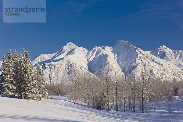 Landschaftlich schön  landschaftlich reizvoll  Berg  Winter  Amerika  Ansicht  Faulheit  faul  faule  faulen  fauler  faules  Verbindung  Alaska