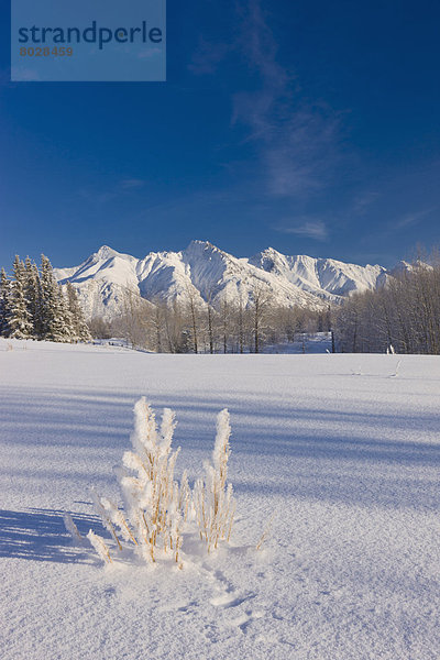 Landschaftlich schön  landschaftlich reizvoll  Berg  Winter  Amerika  Ansicht  Faulheit  faul  faule  faulen  fauler  faules  Verbindung  Alaska