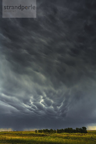 Wolke  über  Sturm  Prärie  Saskatchewan