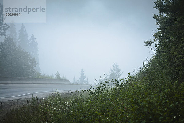 Looking across a misty highway Blue river british columbia canada