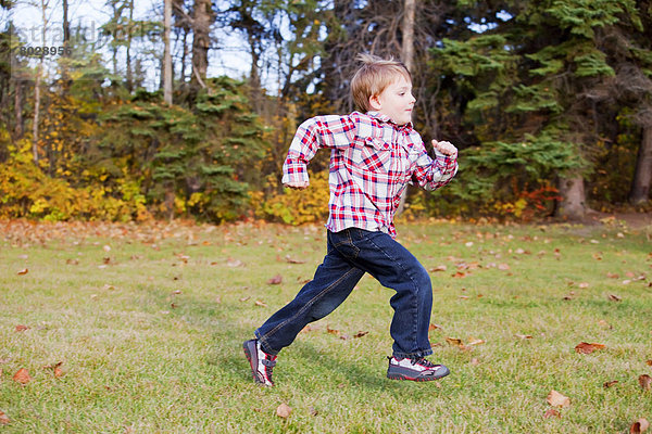 Junge - Person  rennen  Herbst  jung
