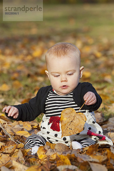 Herbst Mädchen Baby spielen
